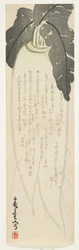 1864年1月大根